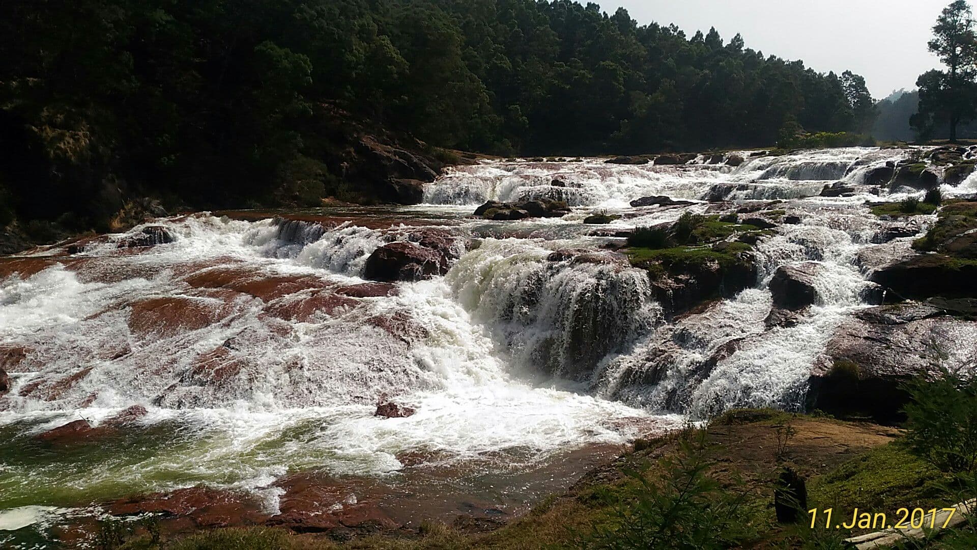 Kerala 4N/5D Package - Munnar, Thekkady & Alleppey Backwaters - Image 5