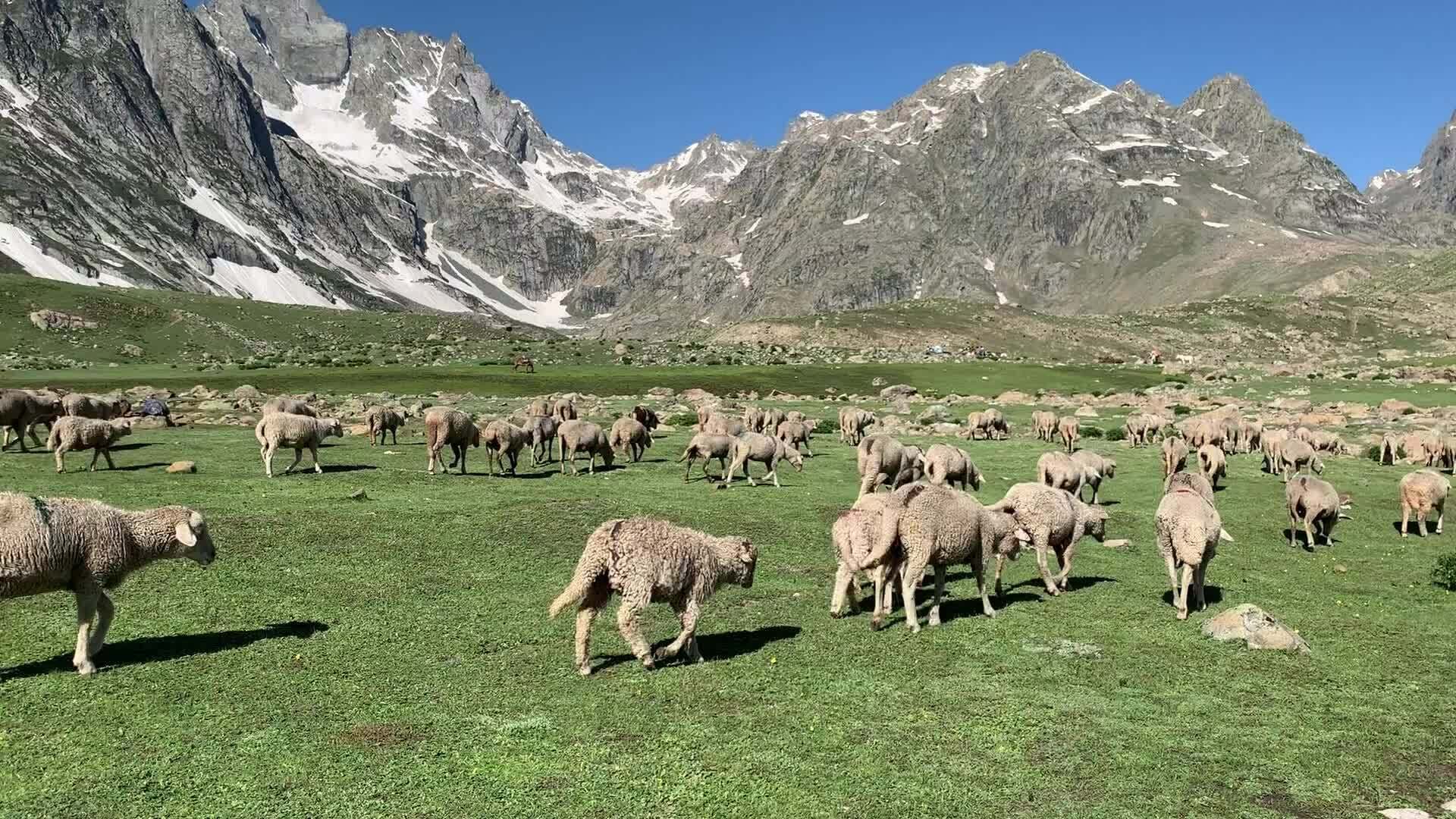 Kashmir Paradise with Houseboat Stay (4N/5D) - Image 4