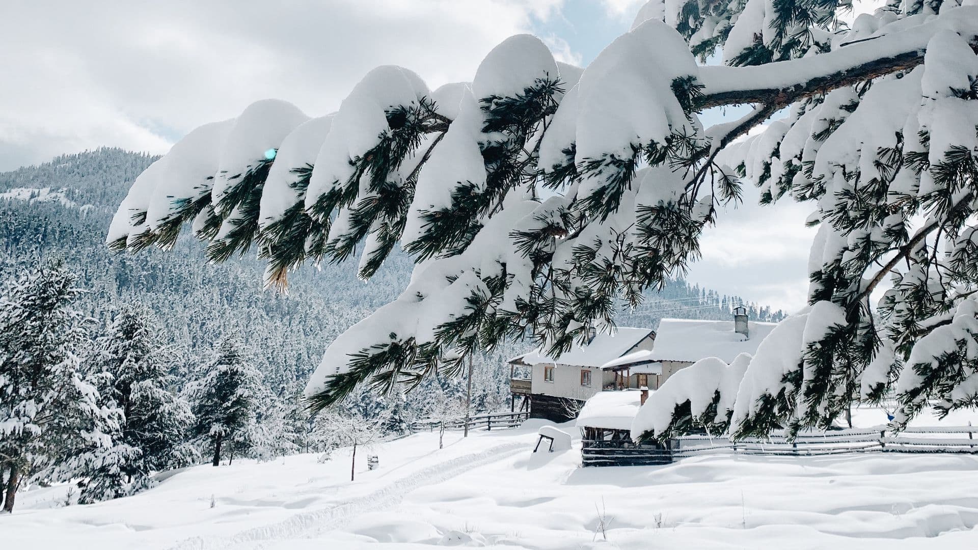 Manali Adventure by Volvo Bus - Premium Package (5N/6D)